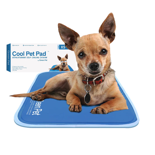 Alfombrilla refrescante para perros